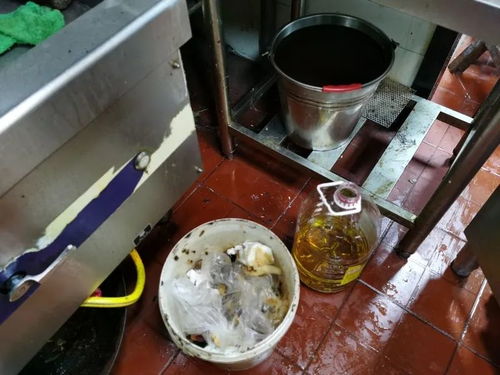 上海餐飲復工后廚房衛(wèi)生堪憂 積壓庫存觸目驚心，記者現場調查揭露亂象